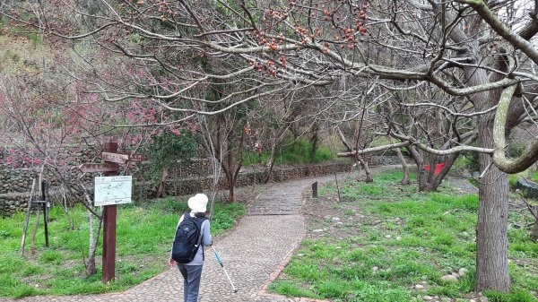 《台中》新春減肥｜龍井竹坑南寮登山步道202202121608730