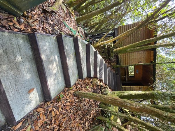 鳶嘴山+稍來神木2709853