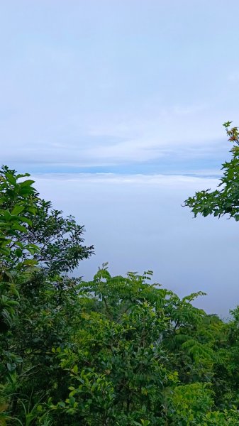 大坑頭嵙山出大景（山嵐海）2144663