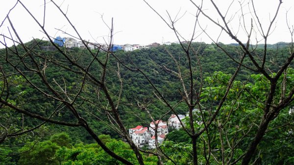 汐止八連路1716782