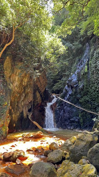 我の夏日健行~天母古道→翠峰瀑布2221104