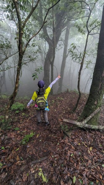 113.06.01魯壁山-東穗山之旅2529876