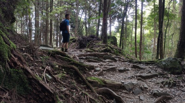檜山巨木森林步道1779518
