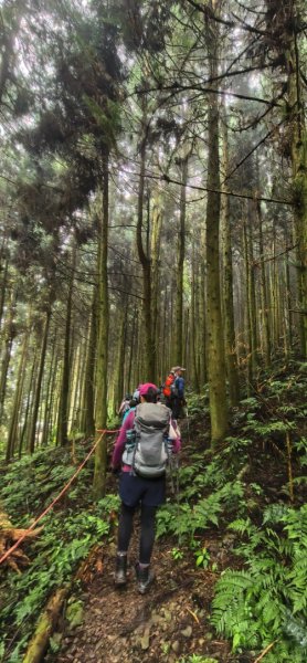 縱走大鳥鵝2828379