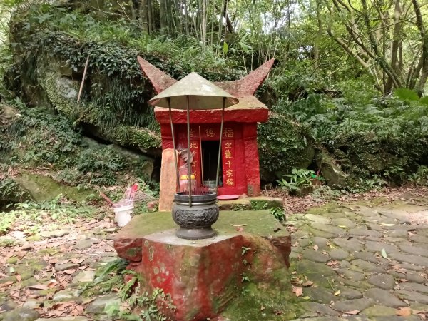 基隆市暖東峽谷大環步道+大菁農場+暖東峽谷小環步道(大O+小O)2832642