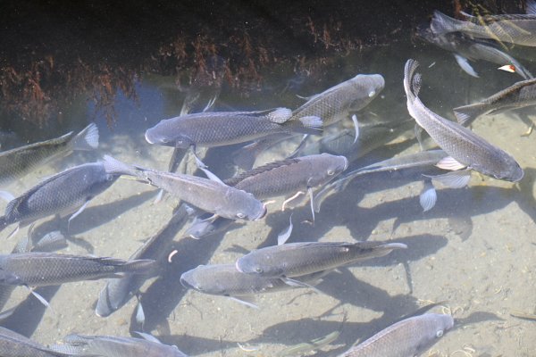 2025_0628 溪瀧步道2824976