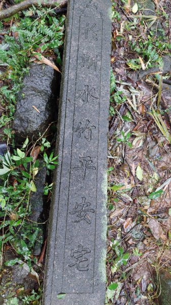 陽明山後花園，百年靜美牧牛山徑，古道草原精華連走2787719