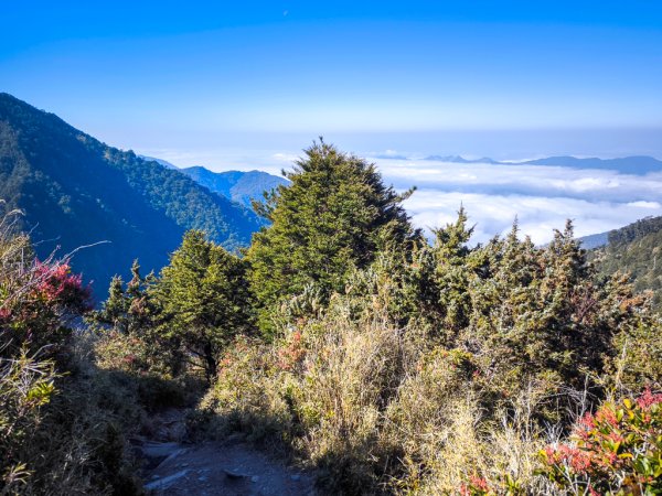 2026-02-09 庫哈諾辛山2998907