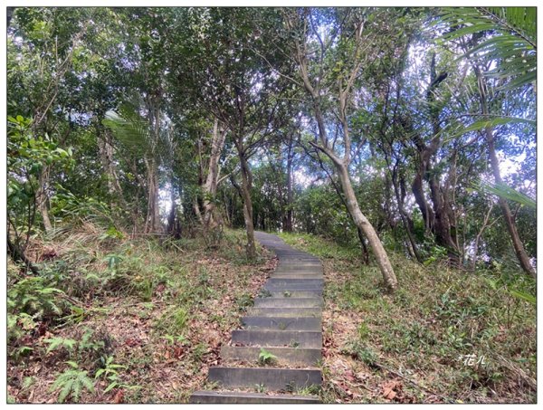 金龍湖、鷹石尖、老鷲尖、內溝山 O型一圈2966609