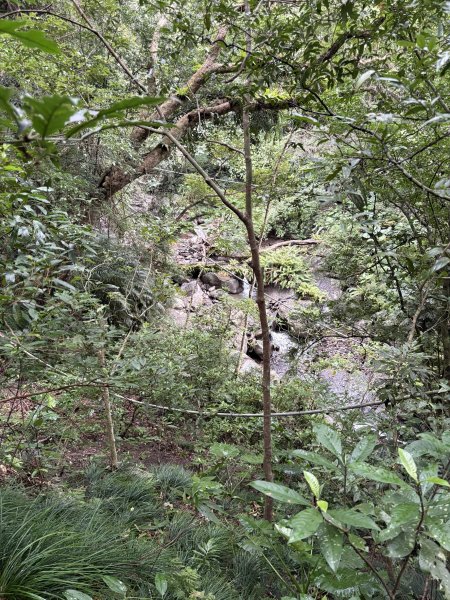 20251129女仍山步道2951783