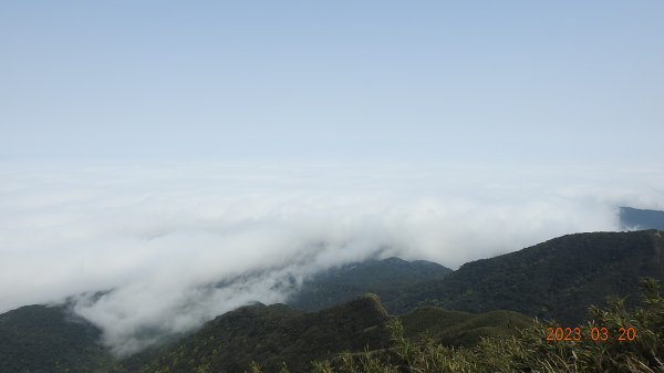 陽明山再見雲海，天空之城 ? 水淹金山寺 ? 3/202080034