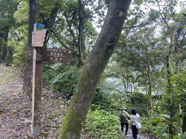 台北大縱走2026｜一天解鎖7顆寶石💎還嚕到4隻貓！第七段｜指南宮千階梯→貓空→樟湖步道→樟山寺3021789