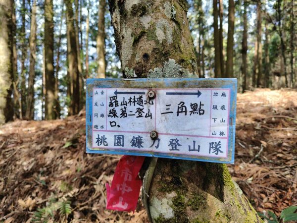 油羅山202503092731872