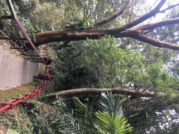 仙山（靈洞宮、協靈宮2723189