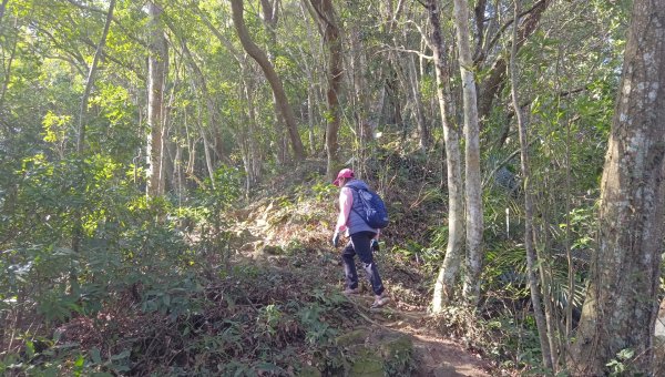 (姨婆趴趴走)第四十六集:新竹關西赤柯山及南峰、東西獅頭山、馬福山環狀縱走2685733