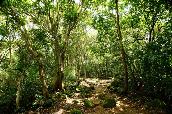 新竹 芎林 飛鳳山、中坑山、石壁潭山3050438