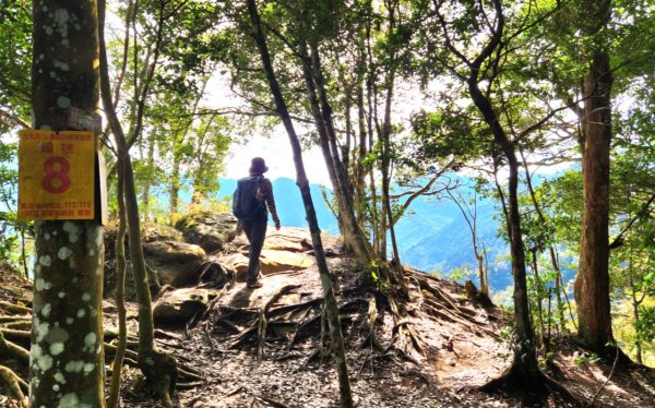 【中級山縱走 】向天湖山，三角湖山，光天高山2742267