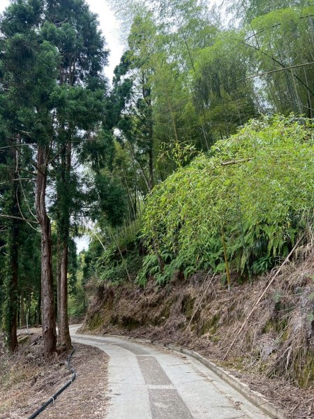 嵐山再古坑。五元兩角 木馬古道2806226