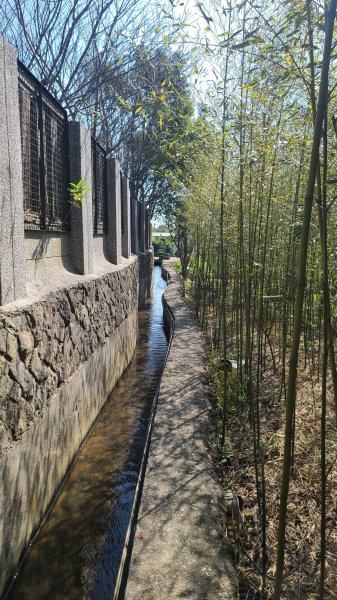 2025-0130溪和宮-大崎頭步道-鵝尾山-平溪步道-鵝尾山水田-42巷-溪山百年古圳-平菁步道2701934