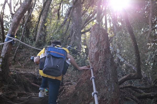 鳶嘴山：連走稍來山82180