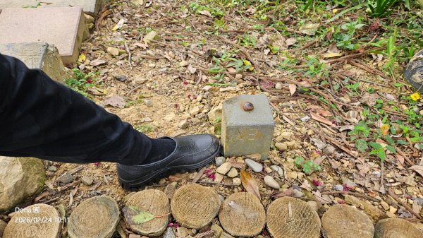 圓通寺烘爐地登山步道大O走3006998