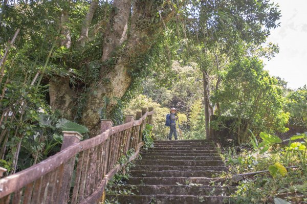 闊瀨古道-沿北勢溪谷而行的夏末之旅（淡蘭古道）2287678