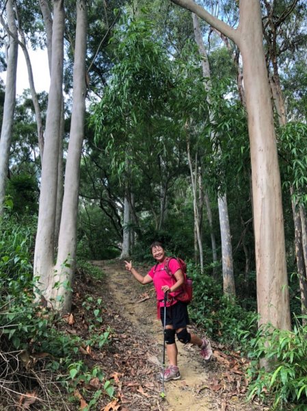 阿拉溪瀑布、赤山步道丶鎮南宮後山步道丶烏山頭水庫1427475