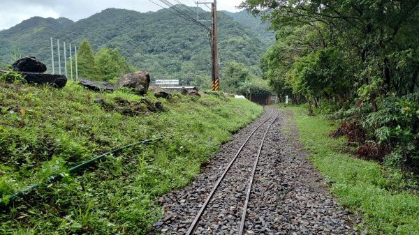 淡蘭古道中路2309184