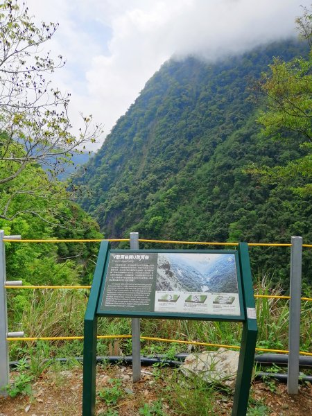 信義~悠然古道處處迷人八通關雲龍瀑布步道972852