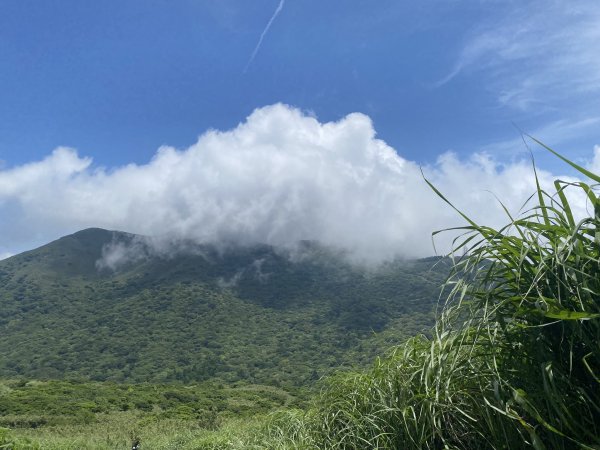 20240518大屯山主峰步道2508035