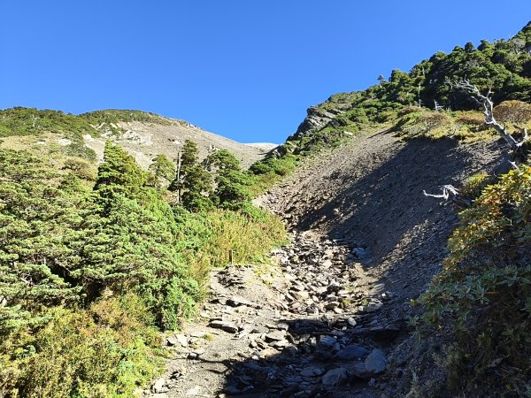 北一段(11/14)南湖北峰 2025_0906~132887237