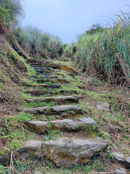 金包里大路(擎天崗至上磺溪停車場段  - 走遍陽明山尋寶任務2268825