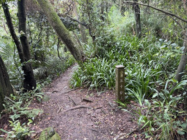 [微笑山線_第三段] 2026_0328 鳶山山系_鳶山彩壁3025678
