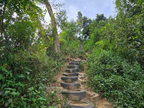 大社觀音山十三連峰環形2924413