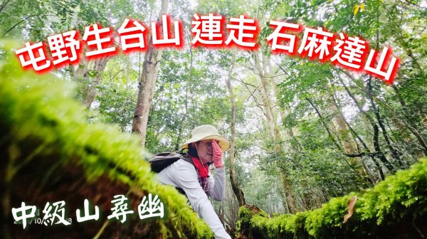 屯野生台山(秀巒山)＆石麻達山連走