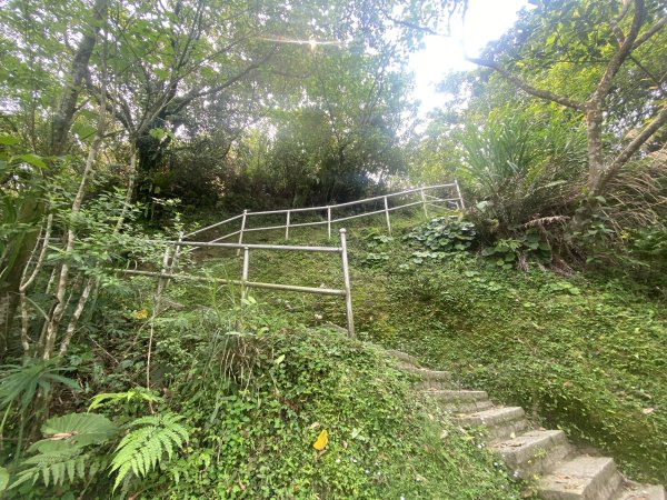 《城市與山的交界線｜大尖山連走四分尾山》O繞路線＋秀峰瀑布＋遇見養蜂人🐝3056646