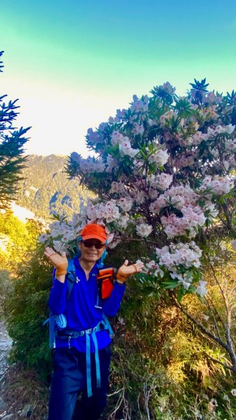 阿蓮五虎兄弟一日單攻雪山主東峰3049887