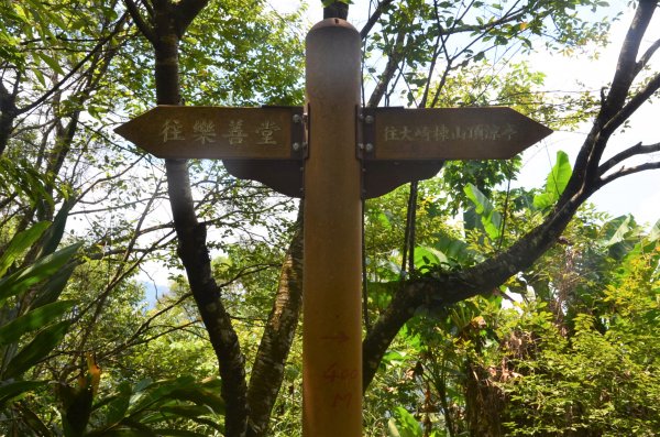 大山背山 - 大崎棟步道1065096