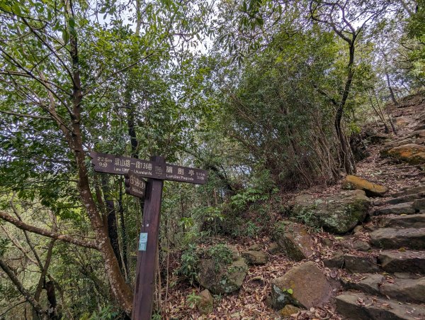 2024-03-31 金面山親山步道、剪刀石、象山親山步道2793309