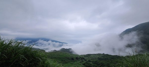 冷擎魚路古道1067062