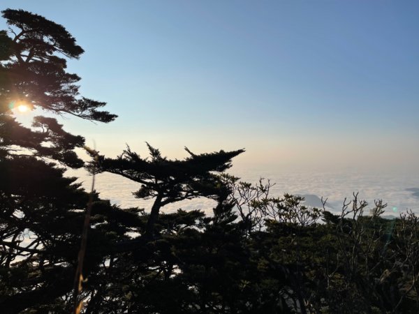 見證最美麗北大武山雲海、鐵杉1318868