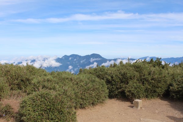 20200625南投合歡主峰1020317