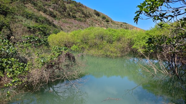 瑞芳小錐麓2714454