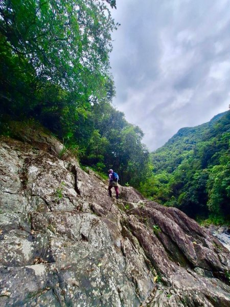 烏來西坑林道/探勘派出護管所彈藥庫遺址至獅坑橋2576320