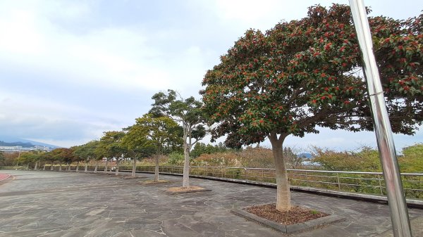 偶來小路走走2942599