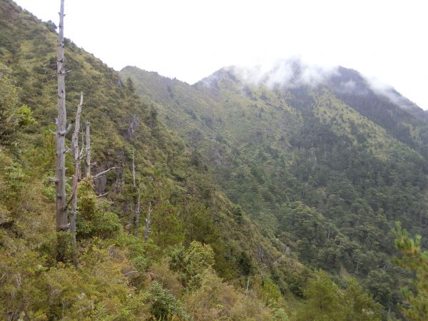 石瀑滾滾登玉山前峰~這輩子只會爬這一次182679