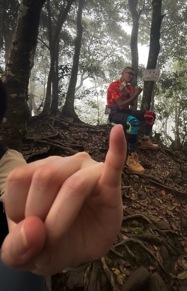 新竹五指山 - 指峰凌霄2768561