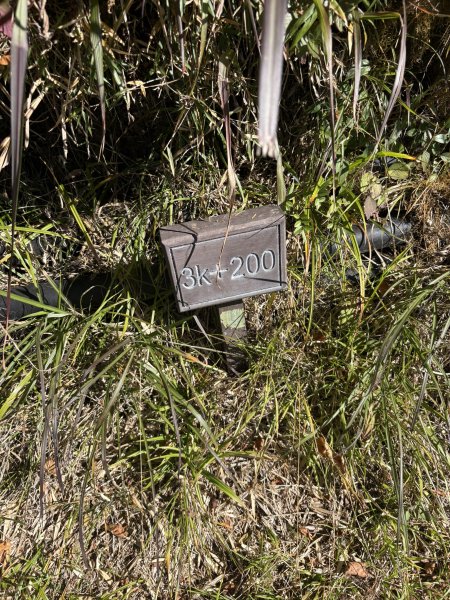 20251225塔山步道(大塔山)2970397