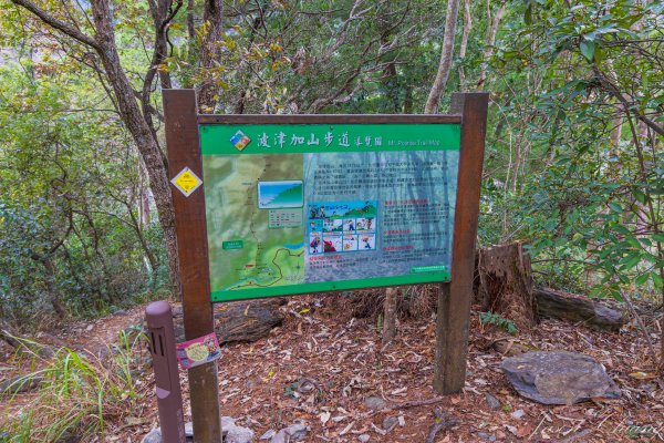 谷關七雄_波津加山2977614