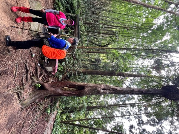 20250525_鳳凰山步道（南投小百岳）2855879